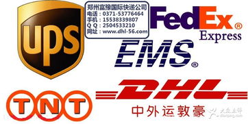 富豫國際快遞 鄭州生活服務的裝卸搬運專家