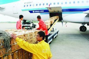 一站式解決方案 香港進口物流包稅回合肥，中科商務網聯手廣州天然馬國際貨運代理提供專業裝卸搬運服務